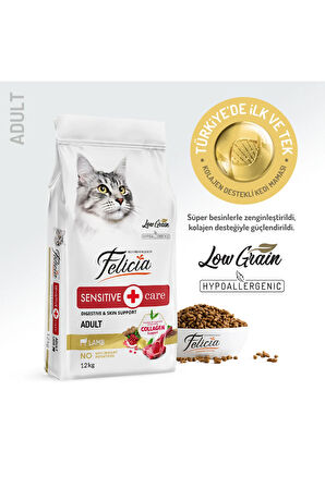 Az Tahıllı 12 Kg Yetişkin Kuzu Etli Hypoallergenic Kedi Maması