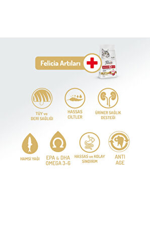 Az Tahıllı 12 Kg Yetişkin Kuzu Etli Hypoallergenic Kedi Maması