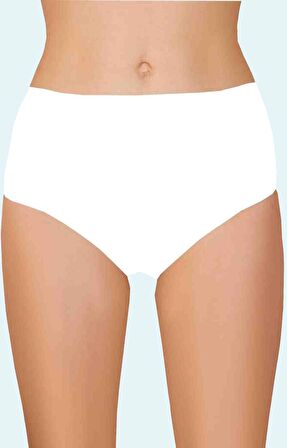 Kadın Likralı 6 lı Bato Külot Berrak-2108