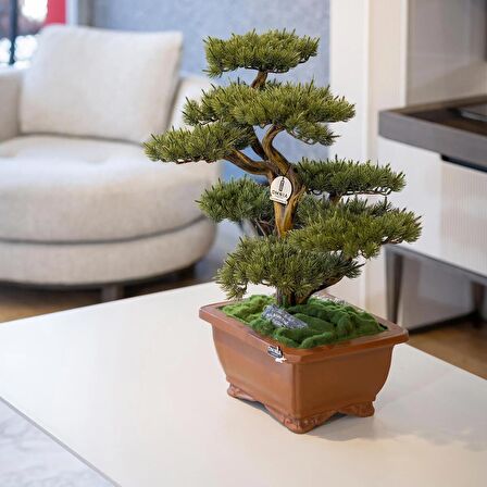 Flora Bonsai-4 Masaüstü Kullanıma Uygun Doğal Ağaç Gövdeli Yapay Bonsai Ağacı - 40x50 Cm