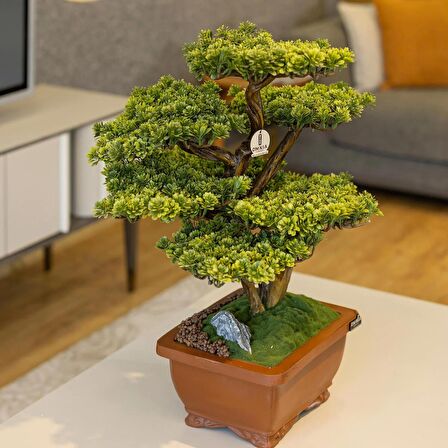 Flora Bonsai-5 Masaüstü Kullanıma Uygun Doğal Ağaç Gövdeli Yapay Bonsai Ağacı - 40x50 Cm