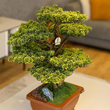 Flora Bonsai-5 Masaüstü Kullanıma Uygun Doğal Ağaç Gövdeli Yapay Bonsai Ağacı - 40x50 Cm