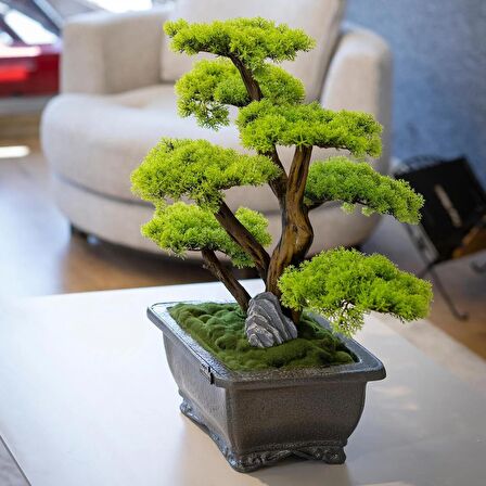 Flora Bonsai-6 Masaüstü Kullanıma Uygun Doğal Ağaç Gövdeli Yapay Bonsai Ağacı - 40x50 Cm