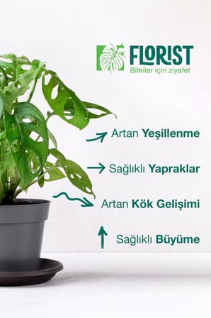 Florist Yeşil Yapraklı, Çiçekli, Orkide, Kaktüs-Sukulent ve Tüm Bitki Besleme 5'li Set