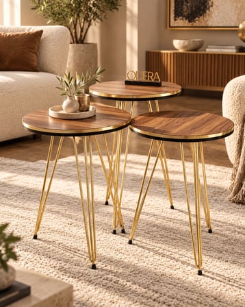 Odera Çift Ceviz Yuvarlak Zigon Sehpa 3'lü Set Metal Tel Ayaklı Modern Retro Salon Sehpası