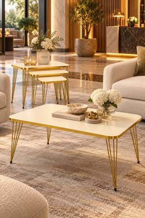 Odera Orta Sehpa ve Zigon Sehpa 4'lü Set Metal Tel Ayaklı Modern Retro Salon Sehpası