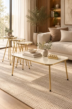 Odera Oval Elips Orta Sehpa ve Zigon Sehpa 4'lü Set Metal Ayaklı Retro Modern Salon Sehpası