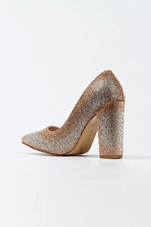 Kadın Moda Şık Gümüş Sultan Çift Renktaşlı Klasik Sivri Kalın Düğün Nişan Gece Abiye Ayakkabısı