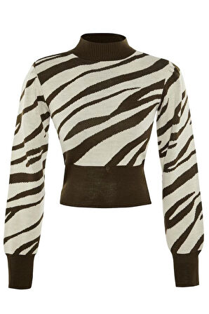 Kadın Moda Şık Crop Dik Yaka Uzun Kol Zebra Zebra Desenli Crop Triko Kazak