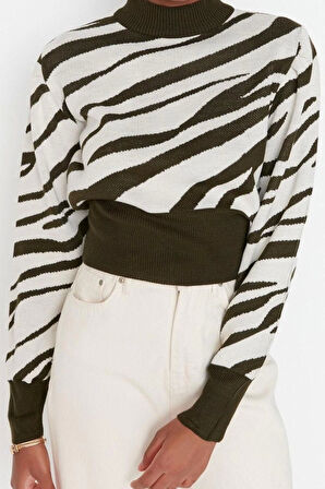 Kadın Moda Şık Crop Dik Yaka Uzun Kol Zebra Zebra Desenli Crop Triko Kazak