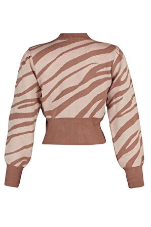 Kadın Moda Şık Crop Dik Yaka Uzun Kol Zebra Zebra Desenli Crop Triko Kazak