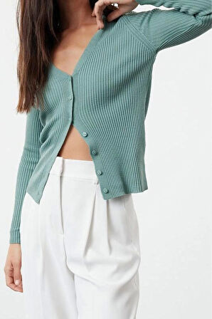 Kadın Moda Şık Regular V Yaka Regular Basic V Yaka Triko Hırka