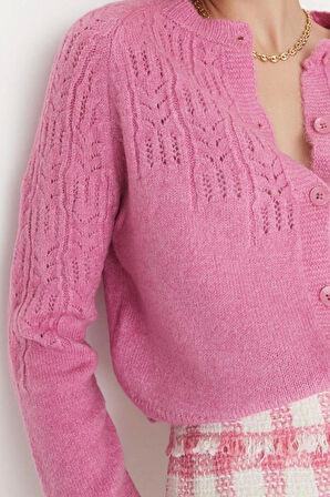 Kadın Moda Şık Crop Bisiklet Yaka Regular Yumuşak Dokulu Ajurlu Delikli Triko Hırka