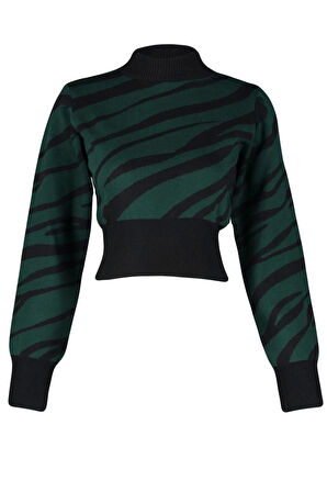 Kadın Moda Şık Crop Dik Yaka Uzun Kol Zebra Zebra Desenli Crop Triko Kazak