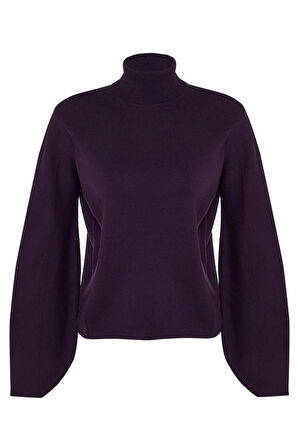 Kadın Moda Şık Regular Balıkçı Yaka Uzun Kol Düz Basic Balıkçı Yaka Triko Kazak