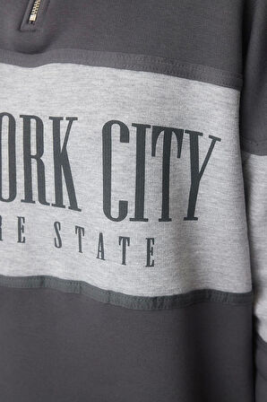 Kadın Moda Regular Fermuarlı Yaka Düşük Kol Regular Basic Baskılı Kalın İçi Polarlı Örme Sweatshirt