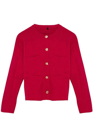 Kadın Moda Şık Regular Bisiklet Yaka Regular Düğme Detaylı Ceket Görünümlü Triko Hırka