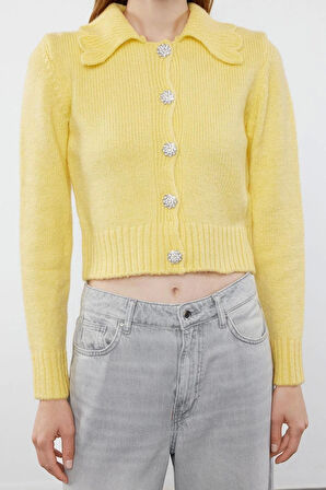 Kadın Moda Şık Crop Polo Yaka Regular Crop Yumuşak Dokulu Mücevher Düğmeli Triko Hırka