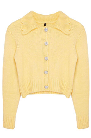 Kadın Moda Şık Crop Polo Yaka Regular Crop Yumuşak Dokulu Mücevher Düğmeli Triko Hırka