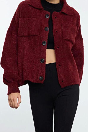 Kadın Moda Şık Regular Polo Yaka Regular Yumuşak Dokulu Mont Görünümlü Triko Hırka