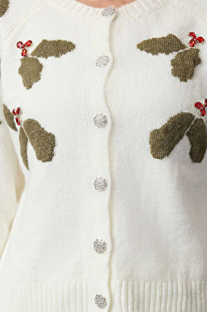 Kadın Moda Şık Regular Bisiklet Yaka Regular Yumuşak Dokulu Düğme Detaylı Taş İşlemeli Triko Hırka