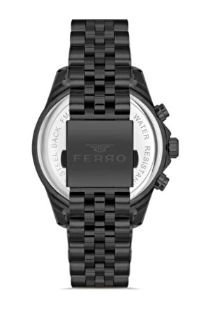 Siyah Çelik Kordon Erkek Kol Saati FM31389A-G