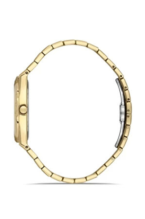 Sarı ve Gümüş Çelik Kordon Erkek Kol Saati FM40133A-D6