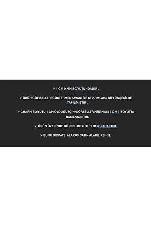 İTALYAN BİLEKLİK  CHARM  ÇELİK 1 CM 9 MM LÜTFEN GÖRSELDEKİ AÇIKLAMAYABAKINIZ fmaccesories
