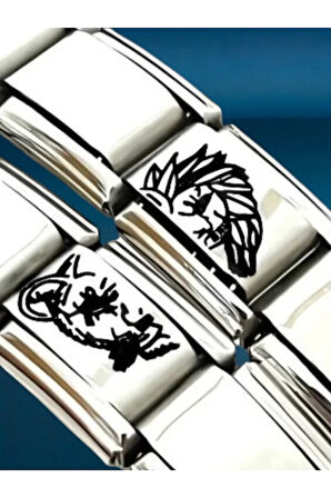 İtalyan Charm Bileklik Sevgili Kombin Dişi Aslan Erkek Aslan En Güzel Hediye 2 li Kutulu Bileklik