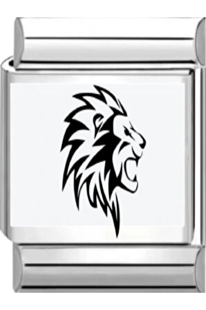 İTALYAN BİLEKLİK CHARM 1 YIL RENK GARANTİLİ ÇELİK FMACCESORİES