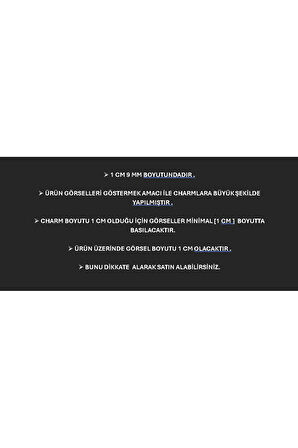 İTALYAN BİLEKLİK CHARM NOMİ ÇELİK 1 CM 9 MM LÜTFEN GÖRSELDEKİ AÇIKLAMAYABAKINIZ fmaccesories