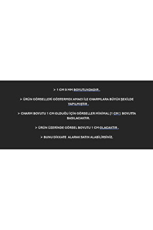 İTALYAN BİLEKLİK  CHARM NOMİ ÇELİK 1 CM 9 MM [LÜTFEN GÖRSELDEKİ AÇIKLAMAYI OKUYUNUZ] fmaccesories