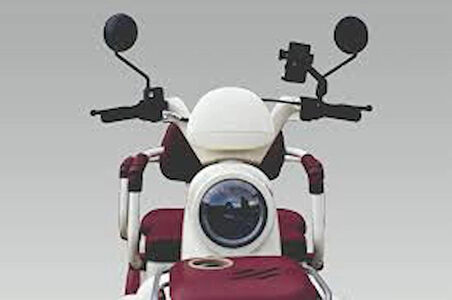 FALCON - FAMİGO 10000 - 3 TEKERLİ ELEKTRİKLİ TRİCYCLE + TENTE + BRANDA