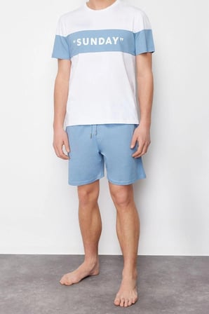 Erkek %100 Pamuk Bisiklet Yaka Kısa Kol Regular Fit Slogan Baskılı Örme Şortlu Pijama Takımı
