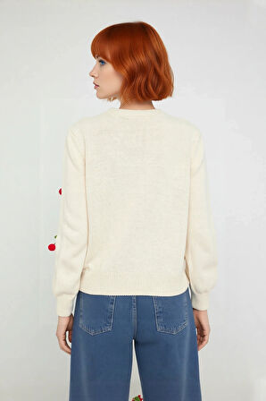 Kadın Casual Regular Kalıp Bisiklet Yaka Akrilik Uzun Kollu Nakışlı İşlemeli Triko Kazak Kaliteli