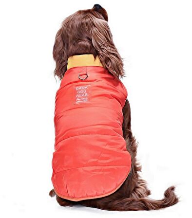 Küçük ve Orta Irk Köpek Mont Murpota Turuncu