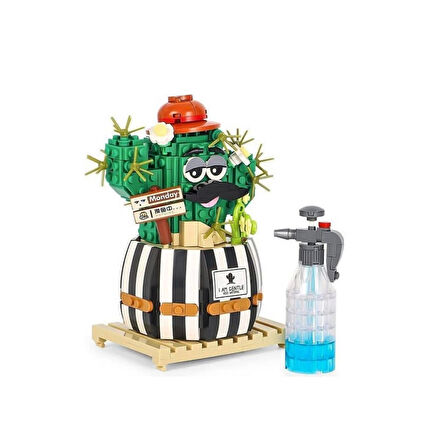 Kaktüs Blok Seti İle Çocukların Odaklanma Ve Dikkat Gelişimini Destekleyen Eğitici Ürün