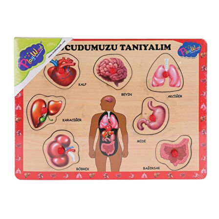 Ahşap Tutmalı Vücudumuzu Tanıyalım Eğitim Seti