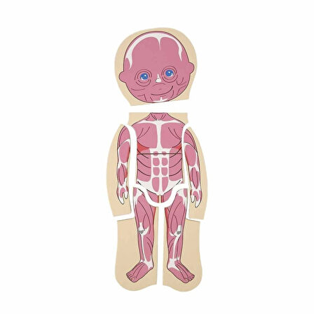 Eğitici Oyuncak 2917 SUN-Tahta Puzzle İnsan Vücudu