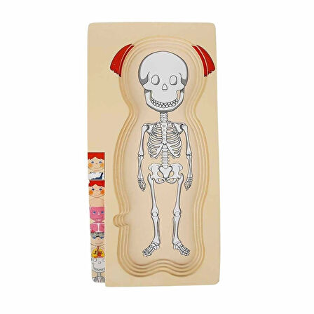 Eğitici Oyuncak 2917 SUN-Tahta Puzzle İnsan Vücudu