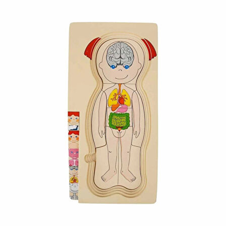 Eğitici Oyuncak 2917 SUN-Tahta Puzzle İnsan Vücudu