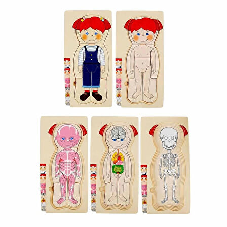 Eğitici Oyuncak 2917 SUN-Tahta Puzzle İnsan Vücudu