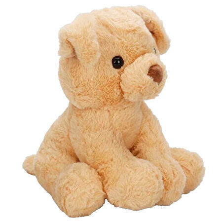 Eğitici Çocuk Sevimli Peluş Köpek 32 cm