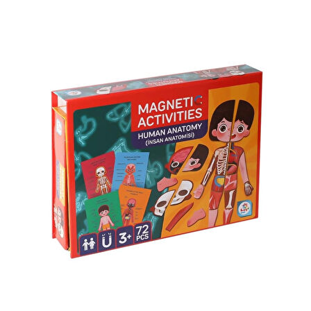  LC986ManyetikAktiviteİnsanAnatomisi-Laço