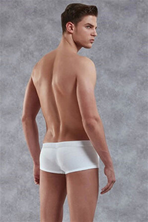Erkek Modal Boxer 1750