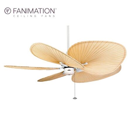 Fanimation - Islander Mat Beyaz - 137 Cm. Palmiye Kanatlı Tavan Vantilatörü