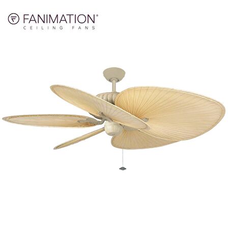 Fanimation - Belleria Latte 132 Cm. Geniş Gerçek Palmiye Yaprağı Kanatlı Tavan Vantilatörü