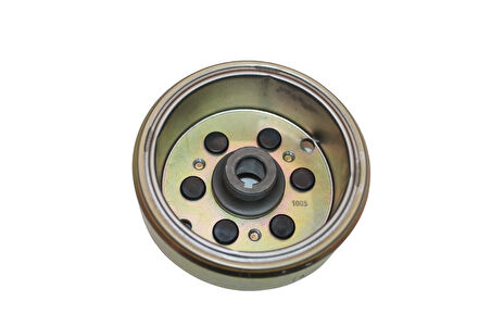 Taigene Ra1 FP9158S Manyeto Volan Rotor Sym Joyride 200 Ie Evo MTP0441824