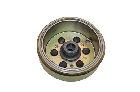 Taigene Ra1 FP9158S Manyeto Volan Rotor Sym Joyride 200 Ie Evo MTP0441824