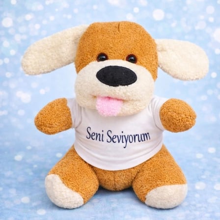 Hediyelik Toptan Seni Seviyorum Tişörtlü Sevimli Peluş Oyuncak Köpek